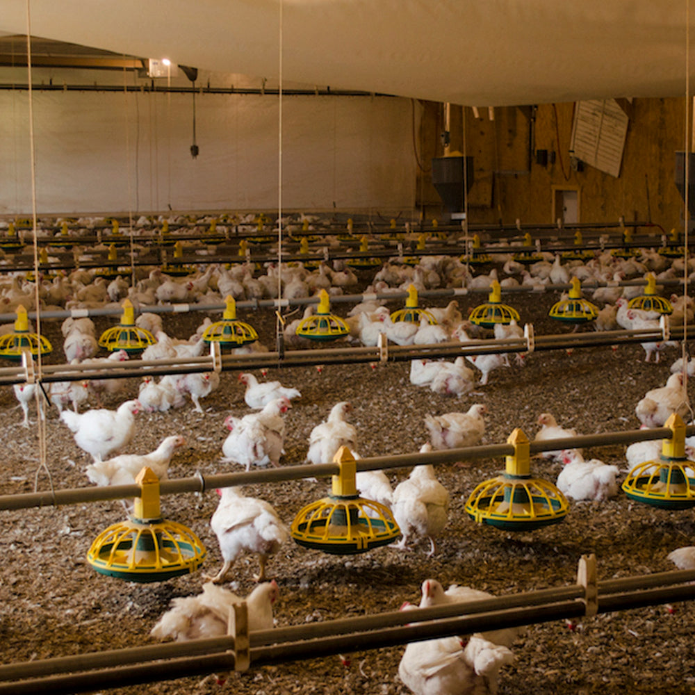 La Belle Farm Achieves Certified Organic From USDA