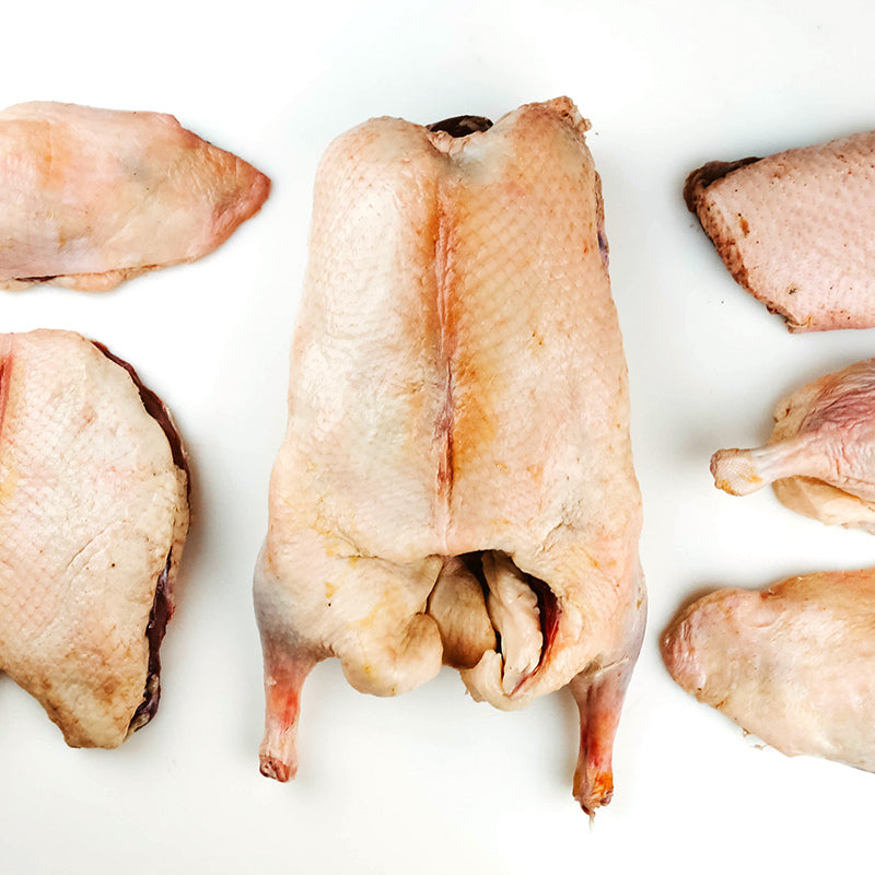 DUCK PROVISIONS