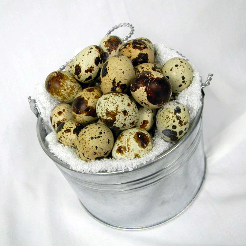 POULTRY