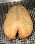 10 DAY DRY AGED ORVIA DUCK CROWN 2.5 lb Avg.