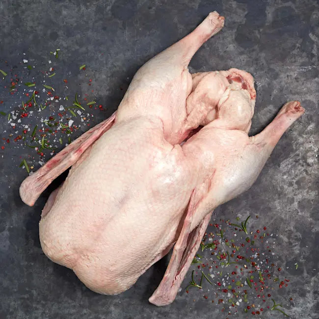 Goose Whole,  Toulouse, Frozen