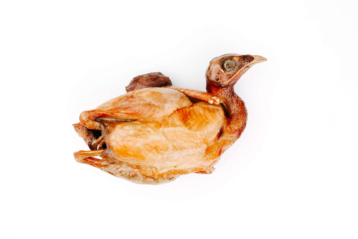 Chukar Partridge