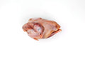 Chukar Partridge