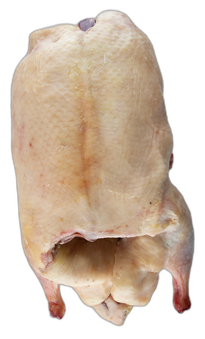 Air-Chilled Moulard Duck