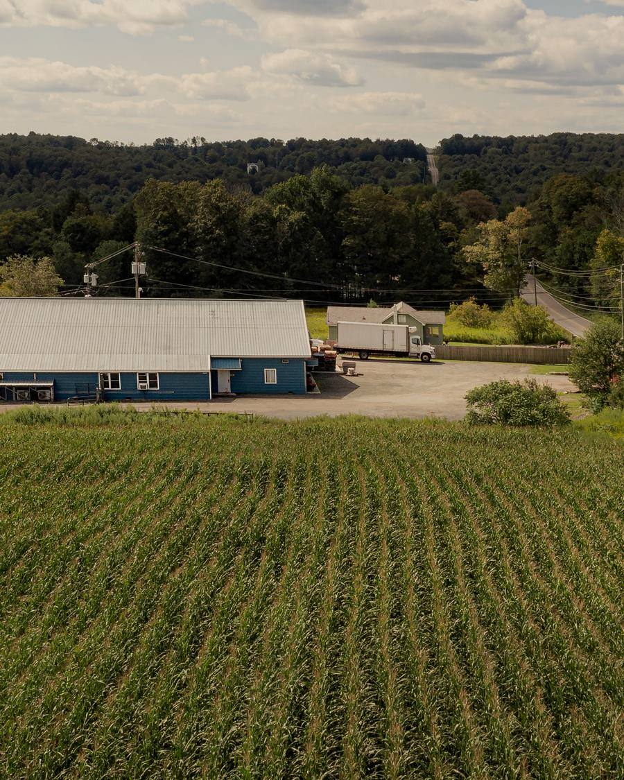 Barns and crop rows at the Sullivan County farm